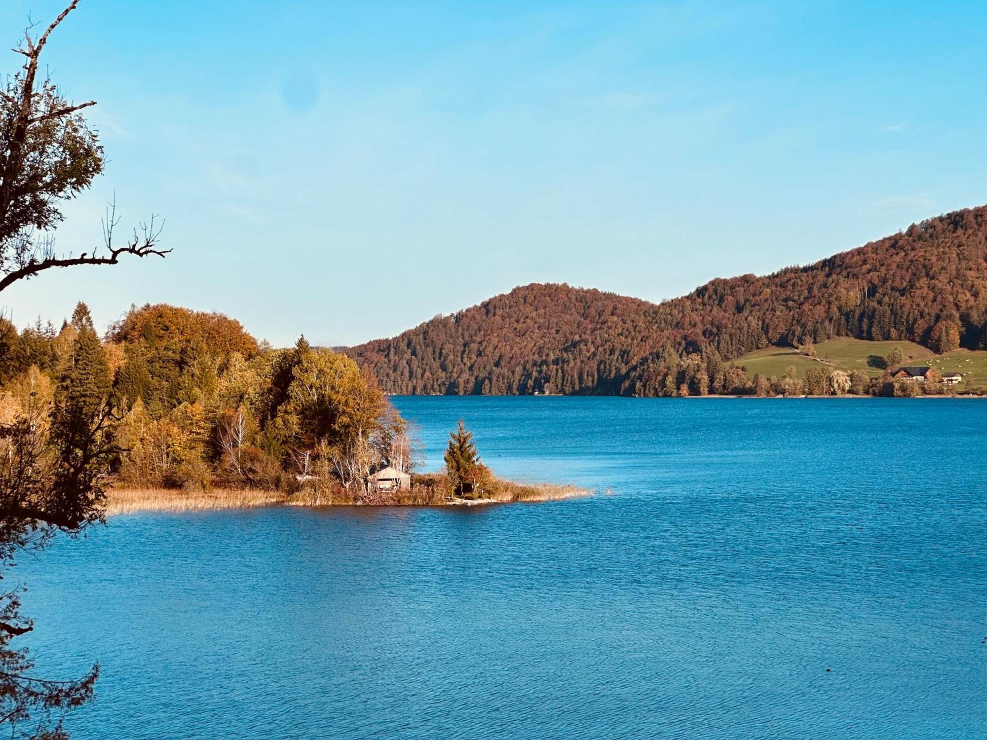 Apartament Brunnwirt Essen & Wohnen Fuschl am See Zewnętrze zdjęcie